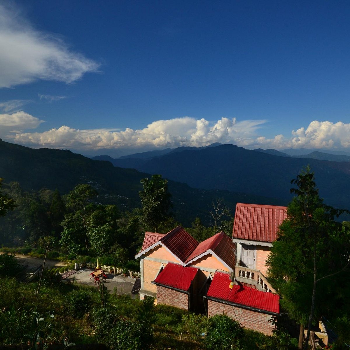 International Holiday Packages