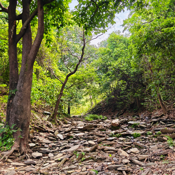 Ghatsila jamshedpur Escape
