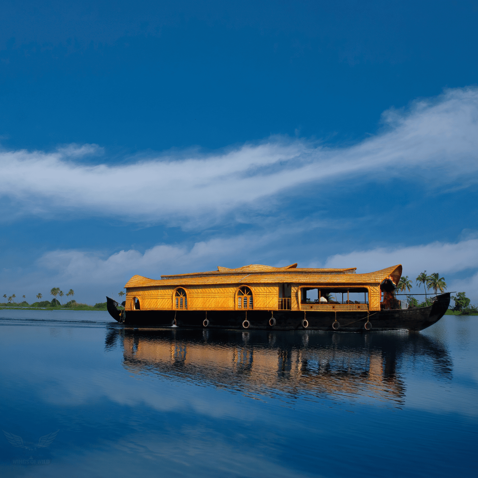Kerala Premium