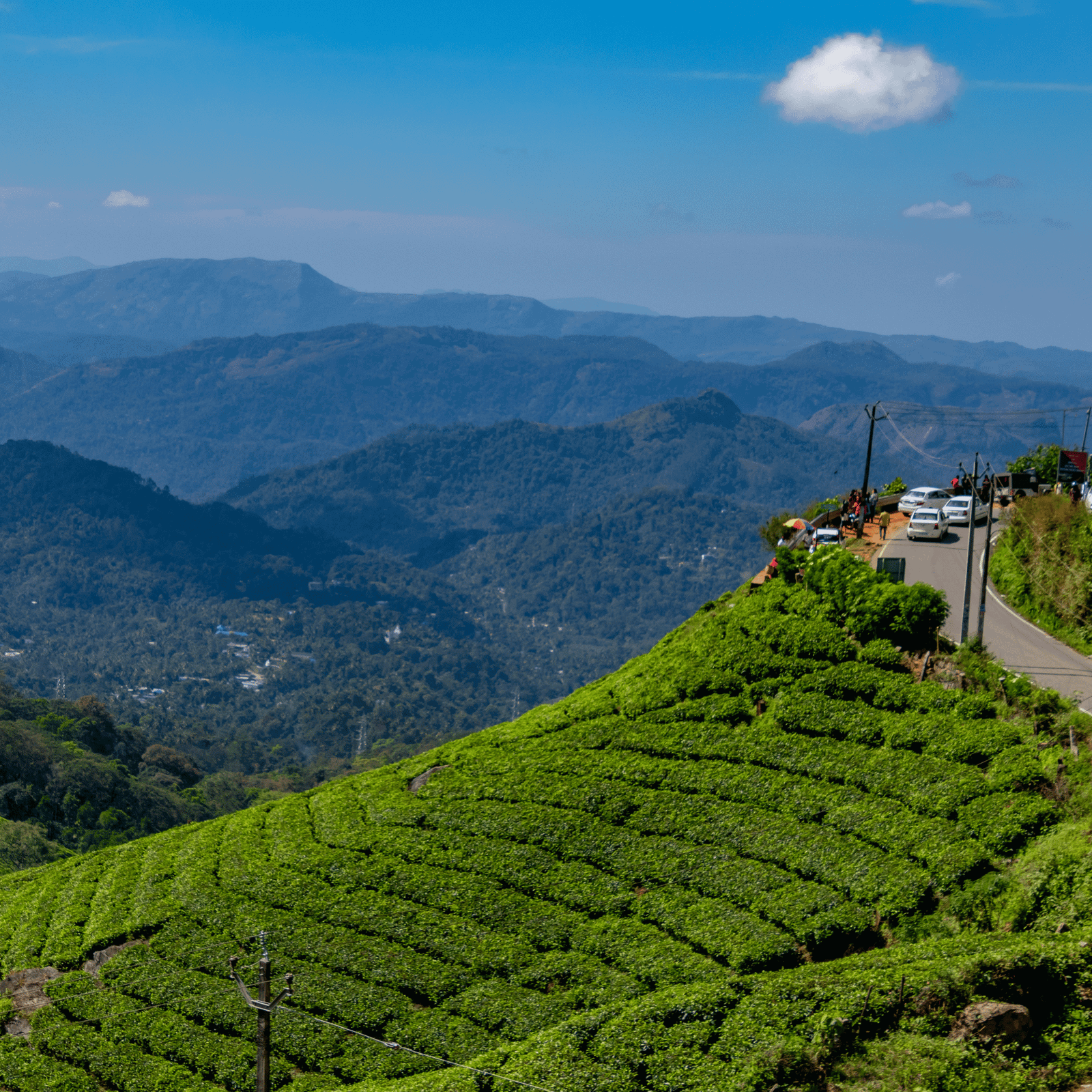 Kerala Explorer