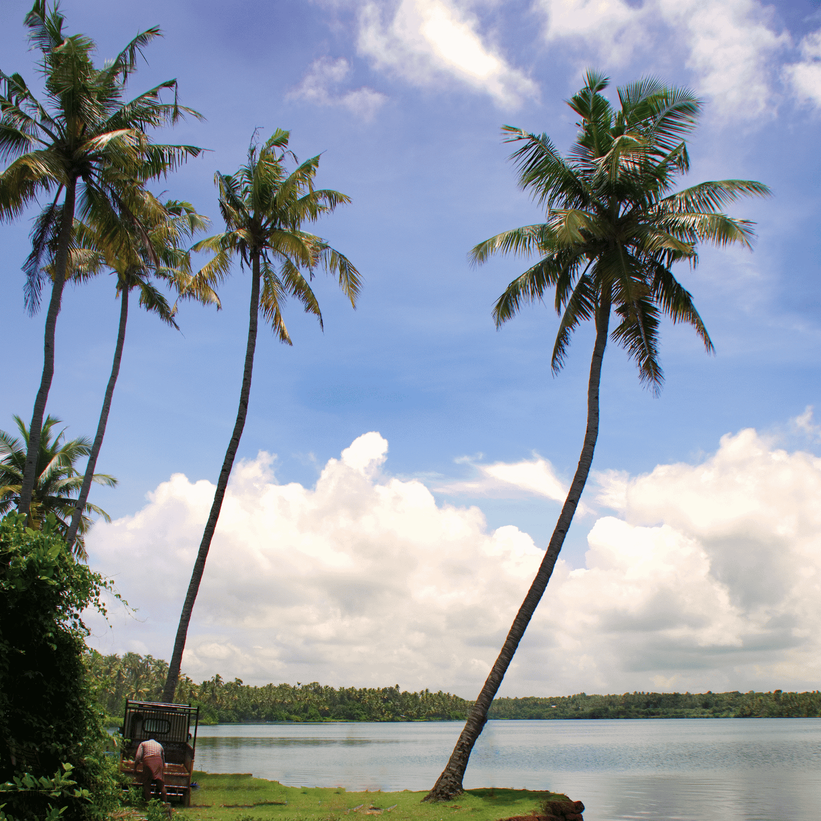 Kerala Scenic Trails