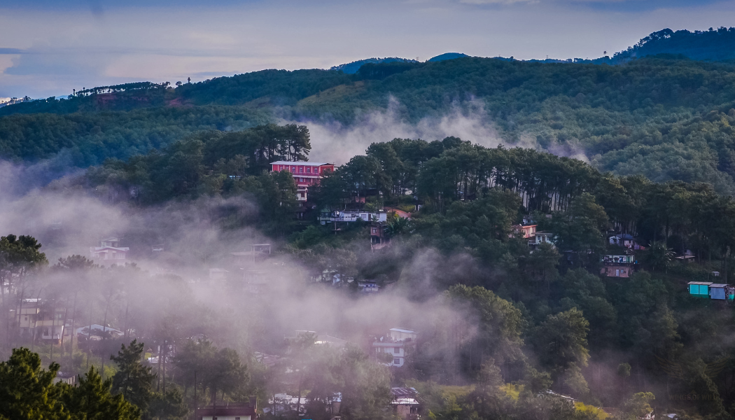 Mist Monsoon