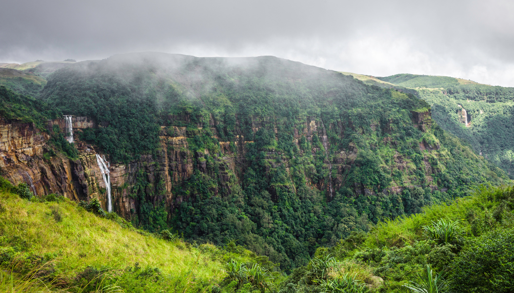 Mist Monsoon