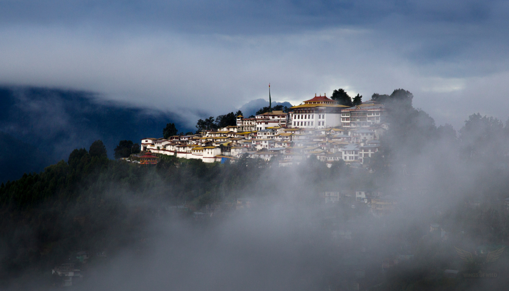 Magical Arunachal